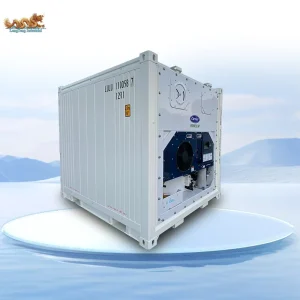 10-Foot Refrigerated Container Freezer Cold Storage Unit (with Carrier Cooling System) for Sale