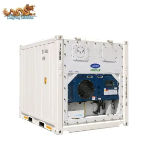 10 ft × 10 ft Refrigerated and Frozen Storage Container for Vegetables and Meat, with Thermostatic Rack Cooling Unit