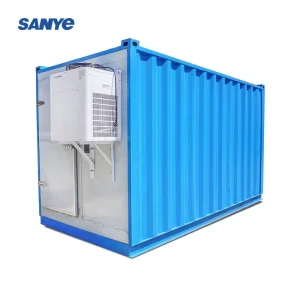10FT 20FT Container Freezer Cold Storage Room And Chiller Freezer Container