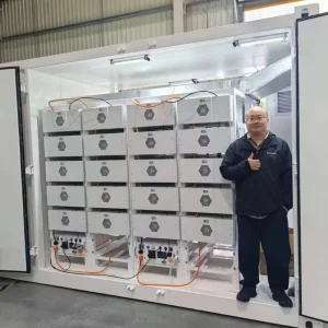 1MW 2MWh Commercial and Industrial BESS Battery Storage Container for Solar Microgrid or Pure Grid Energy Storage System