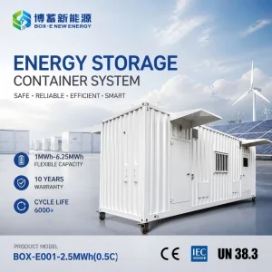 2.5MWh 0.5C BESS Container 40ft LiFePO4 6000 Cycles Air Cooling Custom Solar Farm Energy Storage IP54