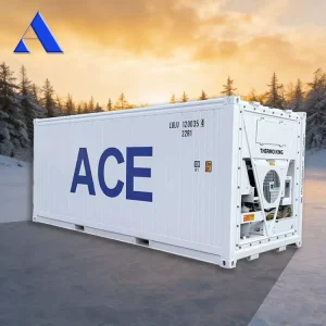 Brand-New Refrigerated and Frozen Container, 20 Feet Long, 20-Foot Refrigerated Container for Sale
