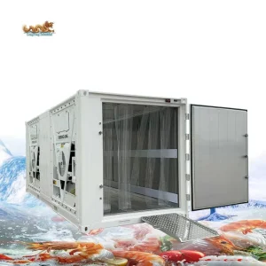 20-Foot Blast Freezer/Refrigerated Cold Storage Container with Multiple Cooling Units for Sale