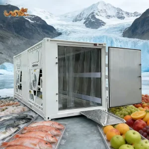 20-Foot Multi-Source Refrigerated Quick-Freezing Container (with Ramp and PVC Door Curtain)