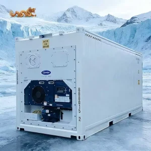 20 ft High Cube Refrigerated Freezer Reefer Container 20ft with Carrier Cooling Unit for Sale in Dubai