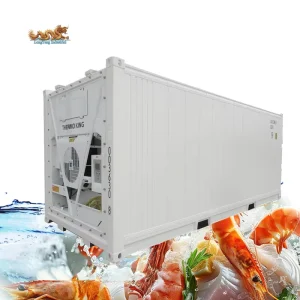 20-Foot Refrigerated Container with Thermo King Unit, 20-Foot Refrigerated Room for Sale
