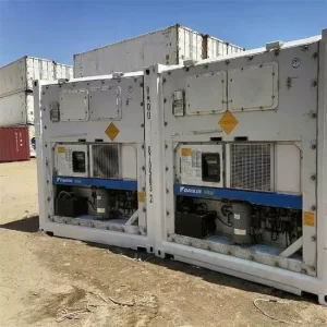 20FT 40FT Hc Reefer Shipping Container with Cyclopentane Insulation and 25C Internal Temperature Germany