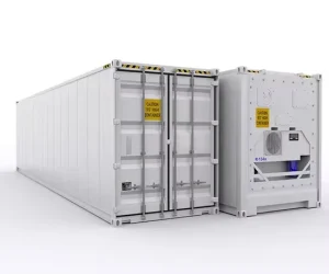 20FT 40FT Reefer Container Cold Room Price for Sale