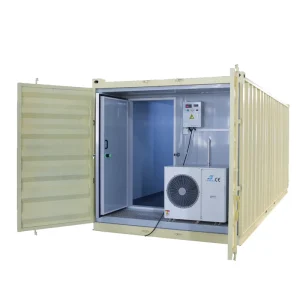 20FT 40HQ Reefer Container Cold Storage Freezer Room