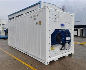 20FT 40ft Refrigerated Cold Storage Reefer Shipping Container