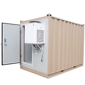 20ft 40ft Mobile Container Cold Room with Compressor PU Panels for Meat Poultry Fish Frozen Storage