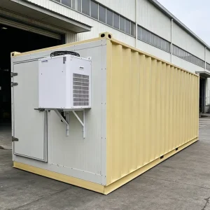 20ft 40ft Solar Powered Container Cold Room with PU Sandwich Panels for Tropical Area Meat Fish Frozen Storage