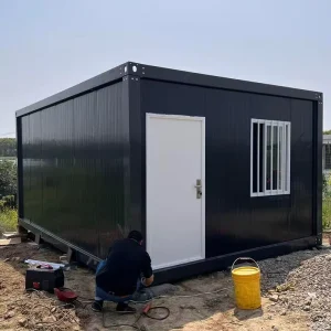 20ft 40ft Steel Container House Tiny House