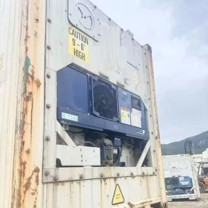 20ft 40ft Used Reefer Container With Good Cold System 2nd Hand ISO Shipping Container for Frozen Products Transport