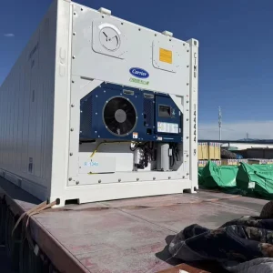 20ft BV Certified Seafood Fruit Reefer Container Custom Insulated Freshness Retain Refrigerated Container