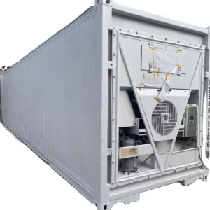 20ft Cold Room Storage Reefer Container Refrigeration 60 Minus Temperature Freezing Shipping Container T floor Customizable
