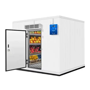 20ft Cold Storage Cold Room Mobile Walk In Freezer for Seafood Vegetable Refrigeration