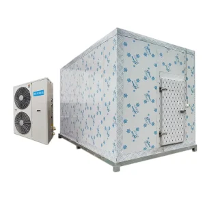 20ft Container Food Cold Storage Rooms Walk in Freezer Mobile Container Condenser Walk in Cooler Refport Freezer