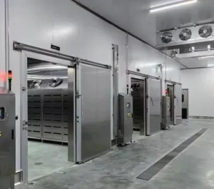20ft Container Mobile Cold Storage for Meat Seafood Poultry with Automatic Engine Solar-Powered High-Accuracy Eco-Friendly