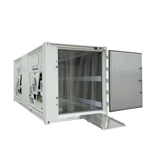 20ft Dual Thermo King Cooling Units 28CBM Refrigerated Blast Freezer Reefer Container With PVC Curtain Ramp Escape Exit Door