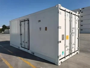 20ft New Steel Refrigerated Tank Container with Side Door Men Door Thermo King Cooling Unit 28.6cbm