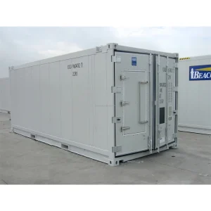 20ft Offshore Reefer Container with Thermoking Refrigeration Units 28.3m3 Capacity Full Open Door for On Road Transportation
