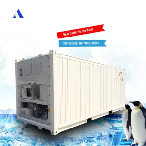 20ft Refrigerated Aluminium T Floor Reefer Container BV Certified Freezer Container