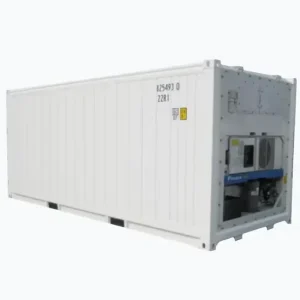 -25 Degree Ultra Frozen Cyclopentane Insulated 10FT Reefer Container
