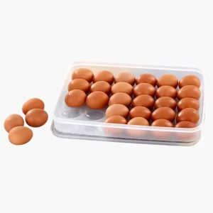 30 Grids clear Fridge Organizer Containers Transparent Plastic Holder Refrigerator Chicken Egg Rack Storage Tray Box with Lid