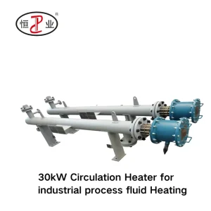30kW Circulation Heater Industrial Explosion-proof Electric Process Heater Continuous Heating Gas Nitrogen Chemical Fluid Drying
