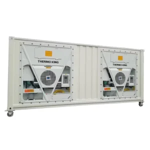40FT&20FT Reefer Container Thermo King Marine Flash Freeze Container Onboard Tuna Processing ABS CCS Certified for sale