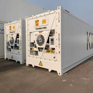 40H Food Reefer Container Large Capacity Precise Temp Control for Fruits Meat