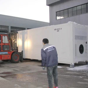 40HQ Container Controlled Atmosphere Cold Room R134a Eco Friendly Warranty for Mobile Fruit Vegetable Fresh Storage