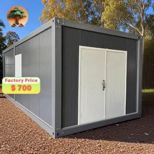 40ft/20ft Pop-Up Cargo Biz Container House Flat Pack Shipping Container for Mall Use Material Use Toilet Storage Size 40ft/20ft