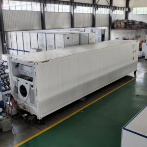 40ft Containerized CA Reefer Cold Storage, No Foundation Required for Tropical Durian & Lychee Preservation