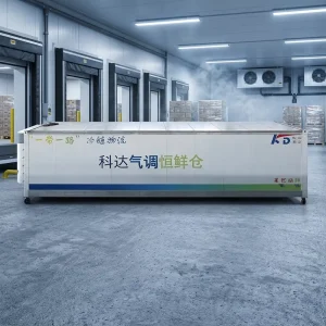 40ft Custom Eco Friendly Controlled Atmosphere Reefer Container with Gas & Ethylene Control for Fruit Cold Chain Preservation