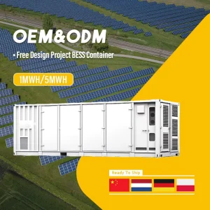 40ft High Cube Refrigerated Shipping Container Lifepo4 20ft Cold Storage Freezer with Liquid Cooling