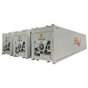 40hc Reefer Container Frozen Refrigerated and Fresh keeping Three in one Large Capacity Movable Refrigerated Warehouse