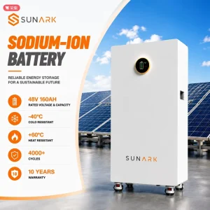 48V 160Ah Sodium Ion Battery 7.68kWh for Island Hybrid Solar System and Remote Village Power Energy Storage BESS