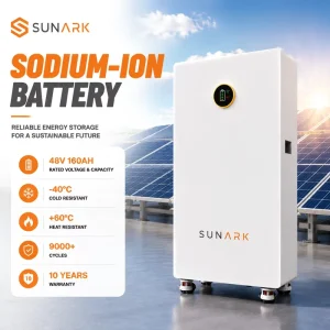 48V 160Ah Sodium Ion Battery 7.68kWh for Luxury Villa Solar PV System Residential Energy Storage Powerwall Smart BMS