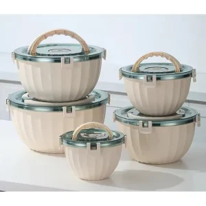 5 Pcs Set Food Warmer Casserole Design Party Hotpot Container Food Warmer Set Thermal Container Insulated Lunch Box