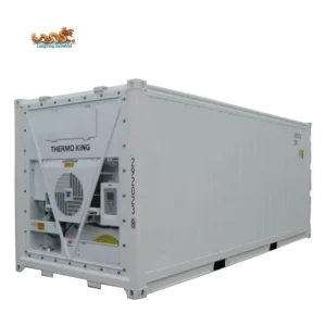 −60°C Ultra-Deep-Low-Temperature Freezer, 20 ft × 20 ft Refrigerated Container, for Tuna Storage