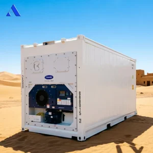 ACE Brand 20-Foot Refrigerated Container, 20-Foot (6 m) Long, with Caterpillar Cooling Unit
