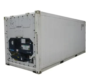 All New 10ft 20ft 40ft Steel Reefer Container with CSC Certification