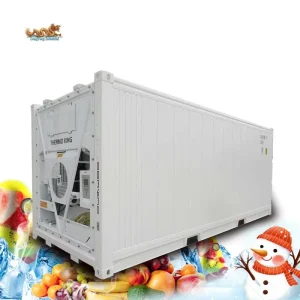 BV-Certified 20-Foot Freezer and Refrigerated Container, 20-Foot Refrigerated Container with Thermo King Cooling Unit, Located in Dubai