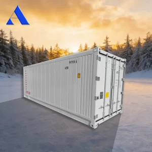 BV-Certified Custom-Size New Refrigerated Container, 23-Foot Refrigerated Container