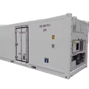 BV Certified Blast Reefer Container 40 High Cube Freezer Refrigerated Steel Container with Double Door Customizable