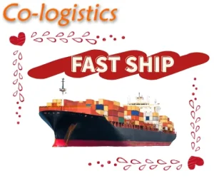 Best China to New Zealand FCL Sea Freight Shipping Agent Auckland Tauranga DDP Door to Door Fast Secure Competitive Rates