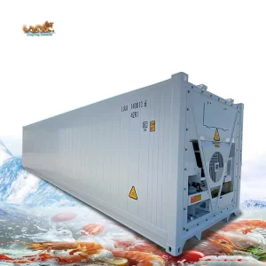 Brand New 40ft Freezer and Reefer Container 40 Feet with Thermo King Refrigerated Unit Price for Sale