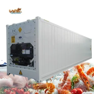 Brand New 40ft Refrigerated Reefer Freezer Container with Carrier Cooler